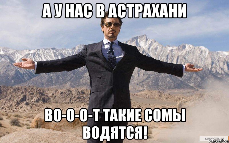 а у нас в астрахани во-о-о-т такие сомы водятся!, Мем железный человек