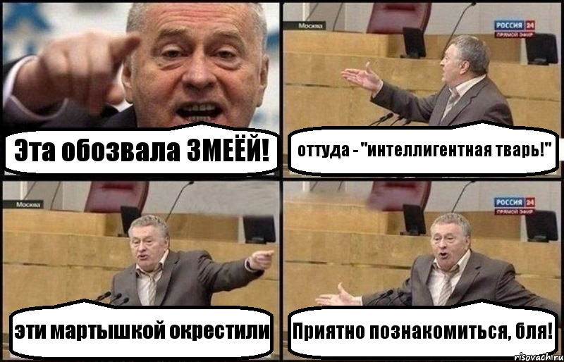 Эта обозвала ЗМЕЁЙ! оттуда - "интеллигентная тварь!" эти мартышкой окрестили Приятно познакомиться, бля!, Комикс Жириновский