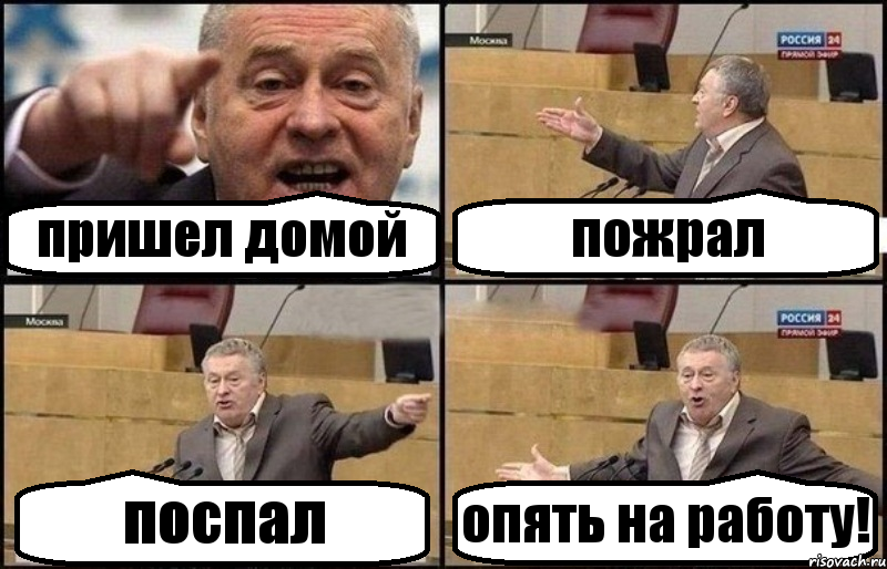 пришел домой пожрал поспал опять на работу!, Комикс Жириновский