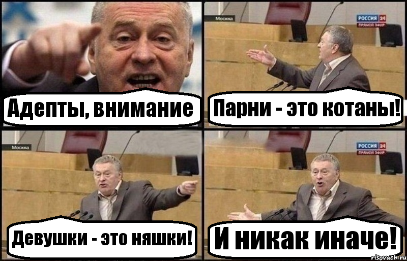 Адепты, внимание Парни - это котаны! Девушки - это няшки! И никак иначе!, Комикс Жириновский