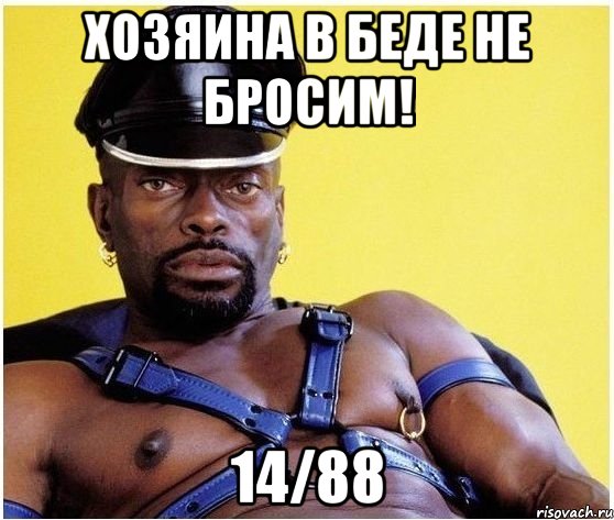 хозяина в беде не бросим! 14/88, Мем Черный властелин