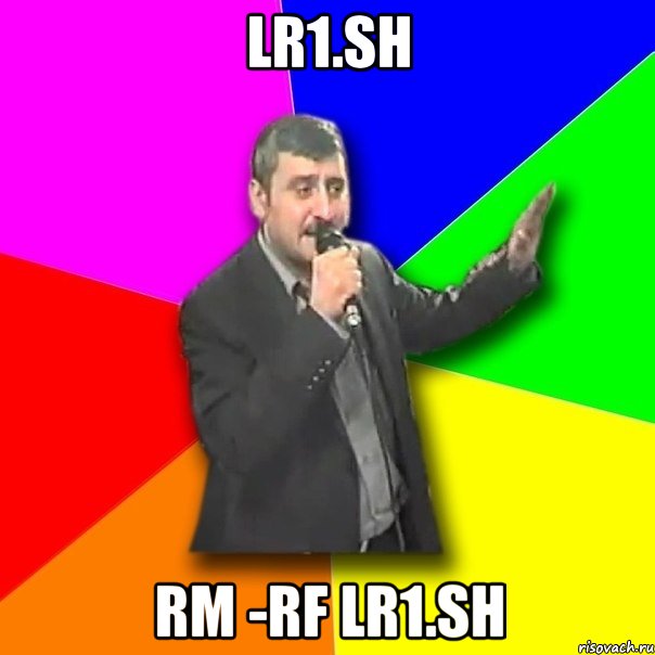 lr1.sh rm -rf lr1.sh, Мем Давай досвидания