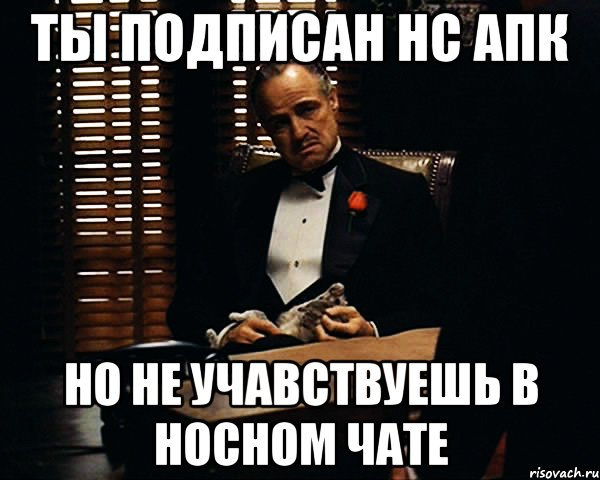 ты подписан нс апк но не учавствуешь в носном чате, Мем Дон Вито Корлеоне