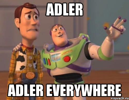 adler adler everywhere, Мем Они повсюду (История игрушек)