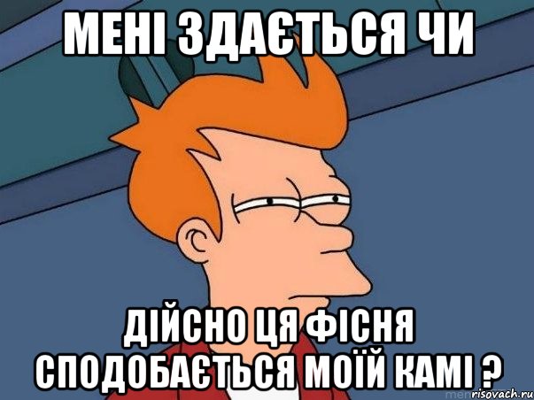 мені здається чи дійсно ця фісня сподобається моїй камі ?, Мем  Фрай (мне кажется или)