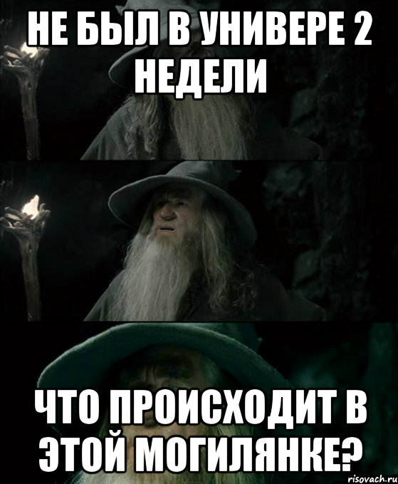 не был в универе 2 недели что происходит в этой могилянке?