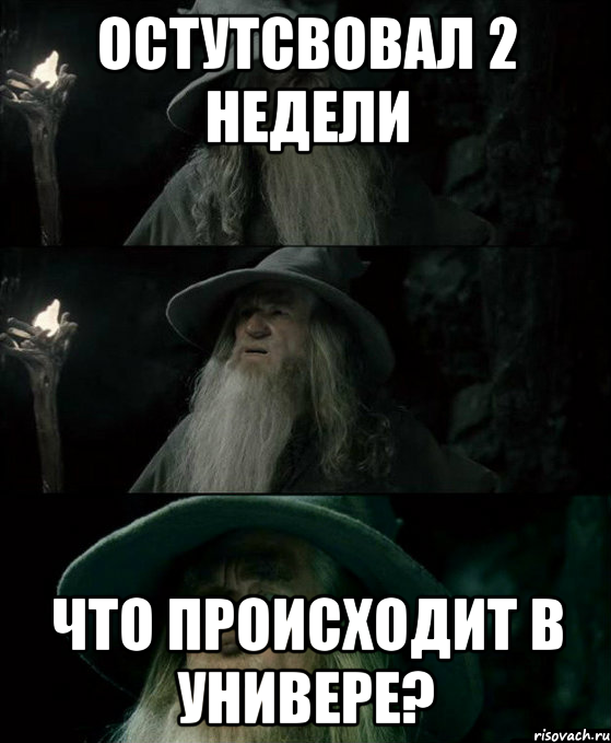 остутсвовал 2 недели что происходит в универе?