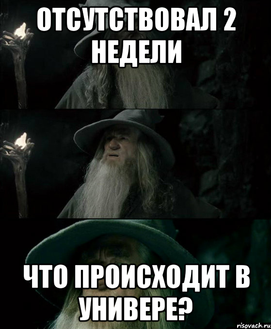 отсутствовал 2 недели что происходит в универе?