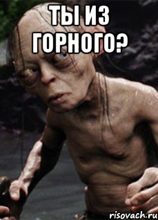 ты из горного? 