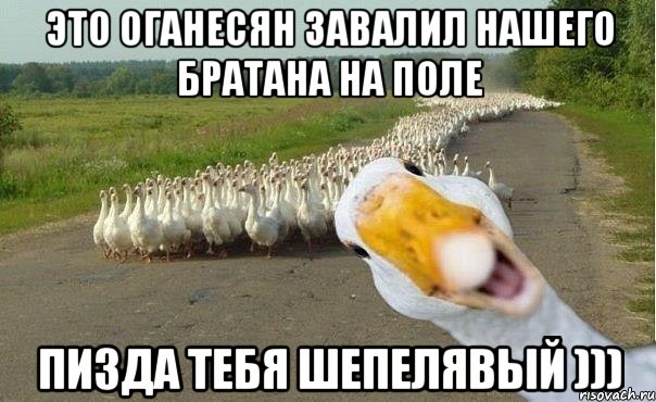 это оганесян завалил нашего братана на поле пизда тебя шепелявый ))), Мем гуси