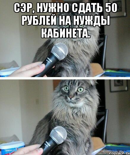 сэр, нужно сдать 50 рублей на нужды кабинета. , Комикс  кот с микрофоном