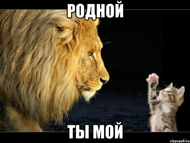 родной ты мой