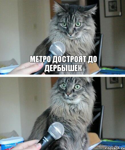 метро достроят до дербышек, Комикс  кот с микрофоном
