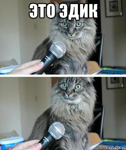 это эдик , Комикс  кот с микрофоном