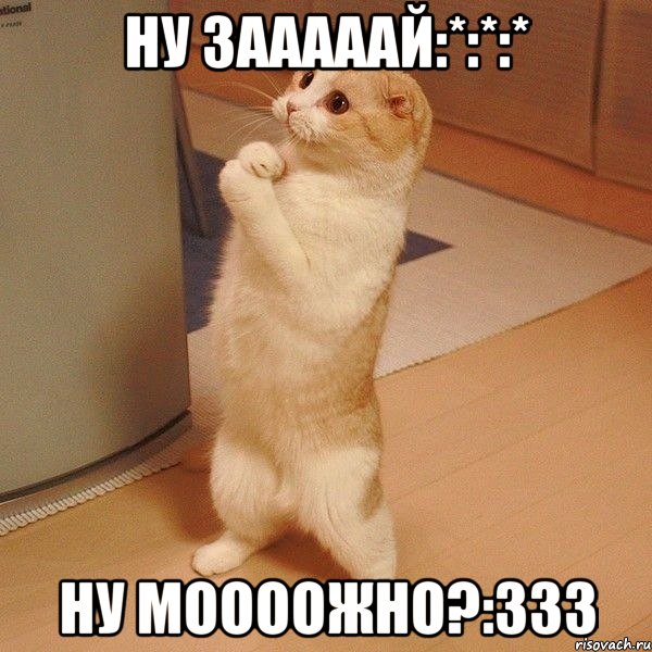 ну зааааай:*:*:* ну моооожно?:333, Мем  котэ молится