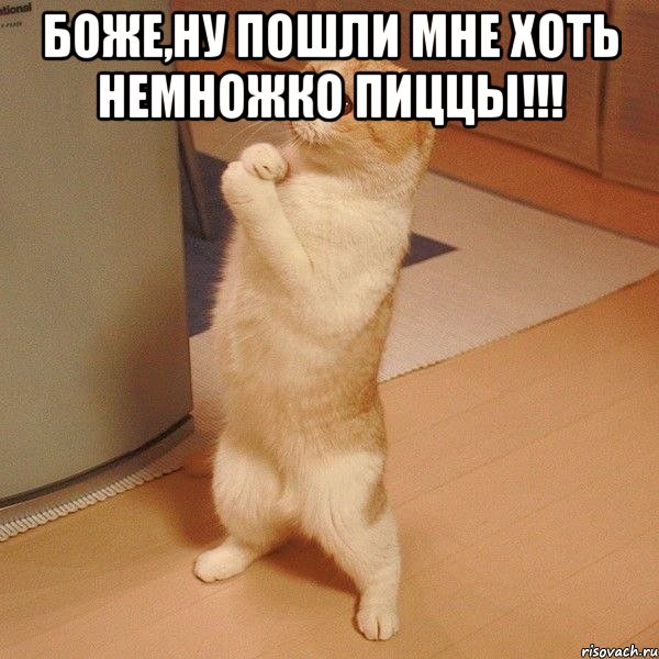 боже,ну пошли мне хоть немножко пиццы!!! , Мем  котэ молится