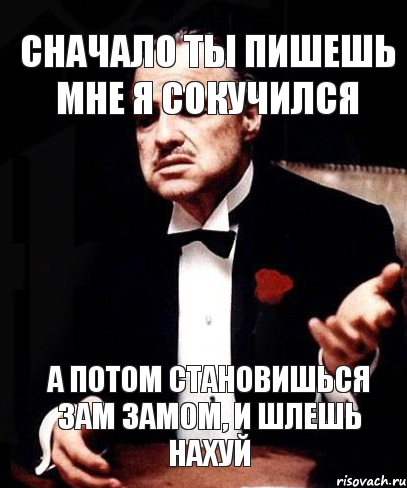 сначало ты пишешь мне я сокучился а потом становишься зам замом, и шлешь нахуй, Мем ты делаешь это без уважения