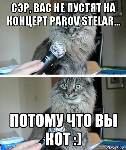 сэр, вас не пустят на концерт parov stelar... потому что вы кот :), Комикс  кот с микрофоном