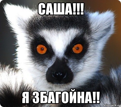 саша!!! я збагойна!!