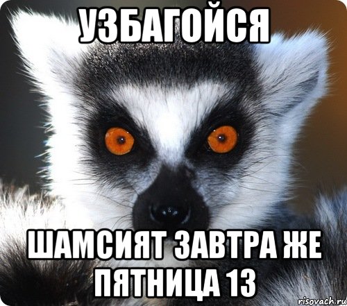 Как у вас дела. Узбагойся завтра пятница. Лена узбагойся. Лемур привет. Как дела прикол.