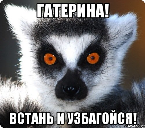 Картинка успокойся. Вадим узбагойся. Александра узбагойся. Узбагойся Мем импровизация.