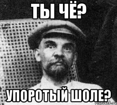 ты чё? упоротый шоле?, Мем   Ленин удивлен