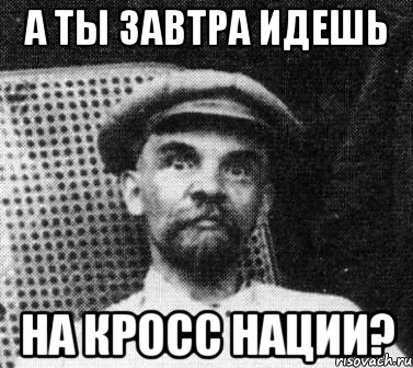 а ты завтра идешь на кросс нации?, Мем   Ленин удивлен