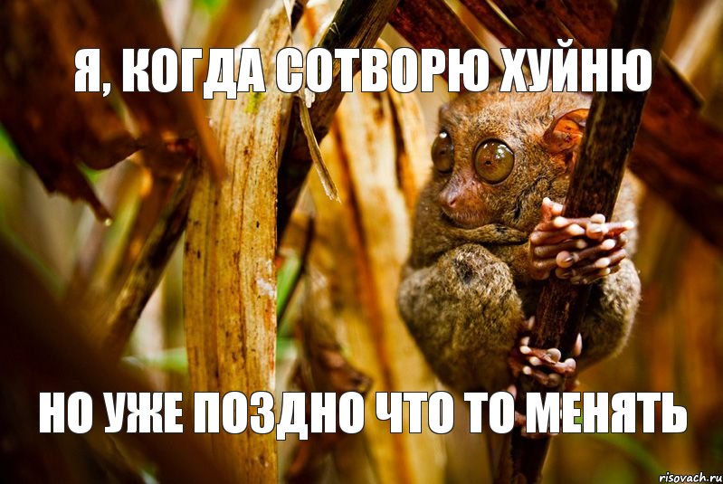 я, когда сотворю хуйню но уже поздно что то менять