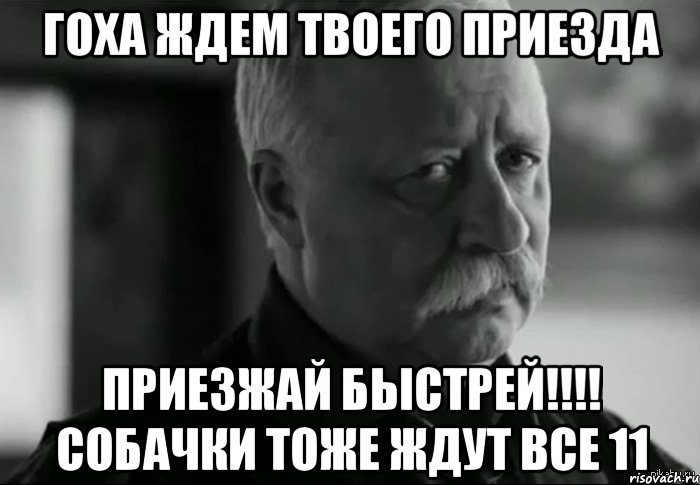 Твоя приехала. Гоху. Картинка твой приезд. Жду твоего приезда. Гох мемы.