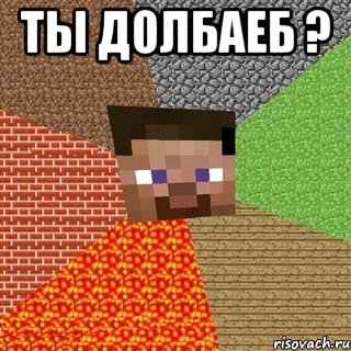 ты долбаеб ? , Мем Миникрафтер