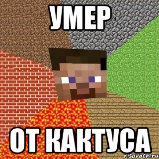 умер от кактуса, Мем Миникрафтер