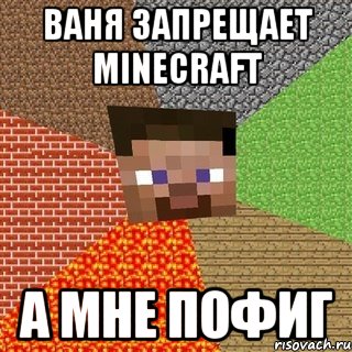 ваня запрещает minecraft а мне пофиг, Мем Миникрафтер