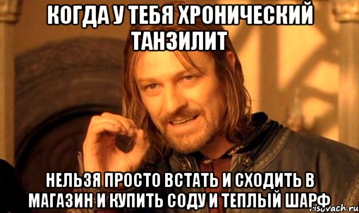 когда у тебя хронический танзилит нельзя просто встать и сходить в магазин и купить соду и теплый шарф, Мем Нельзя просто так взять и (Боромир мем)