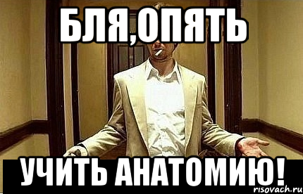 бля,опять учить анатомию!, Мем Ну чо