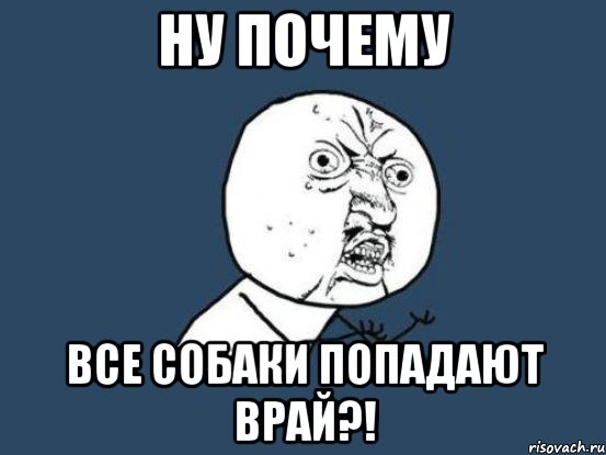 ну почему все собаки попадают врай?!, Мем Ну почему