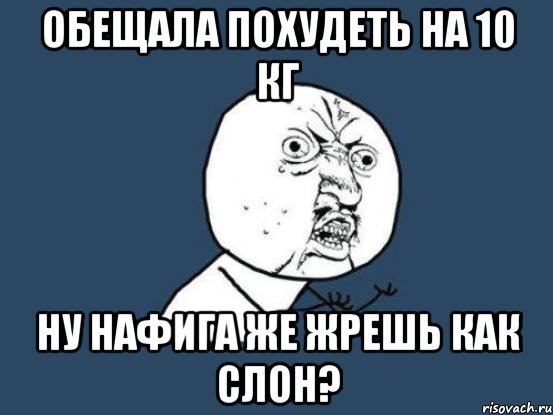 обещала похудеть на 10 кг ну нафига же жрешь как слон?, Мем Ну почему