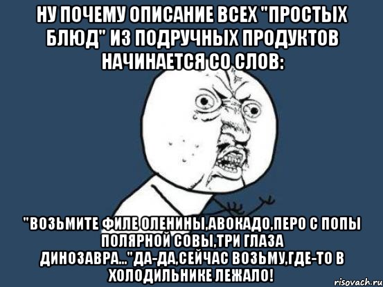 ну почему описание всех "простых блюд" из подручных продуктов начинается со слов: "возьмите филе оленины,авокадо,перо с попы полярной совы,три глаза динозавра..."да-да,сейчас возьму,где-то в холодильнике лежало!, Мем Ну почему