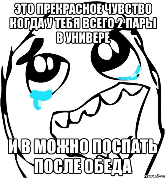 это прекрасное чувство когда у тебя всего 2 пары в универе и в можно поспать после обеда, Мем  Плачет от радости