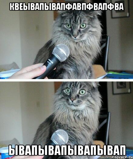 квеывапывапфавпфвапфва ывапывапывапывап, Комикс  кот с микрофоном