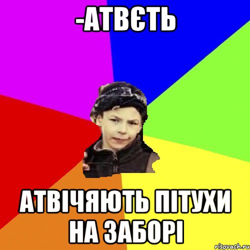 -атвєть атвічяють пітухи на заборі, Мем пацан з дворка