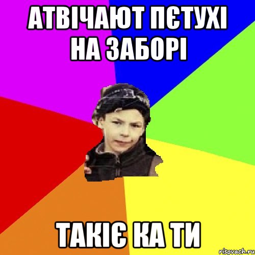 атвічают пєтухі на заборі такіє ка ти, Мем пацан з дворка