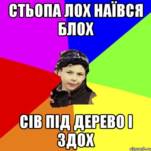 стьопа лох наївся блох сів під дерево і здох, Мем пацан з дворка