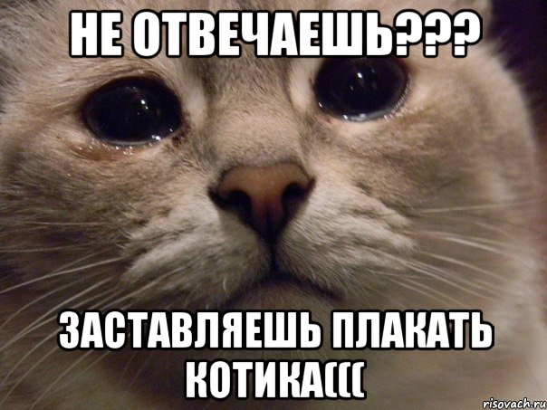 не отвечаешь??? заставляешь плакать котика(((