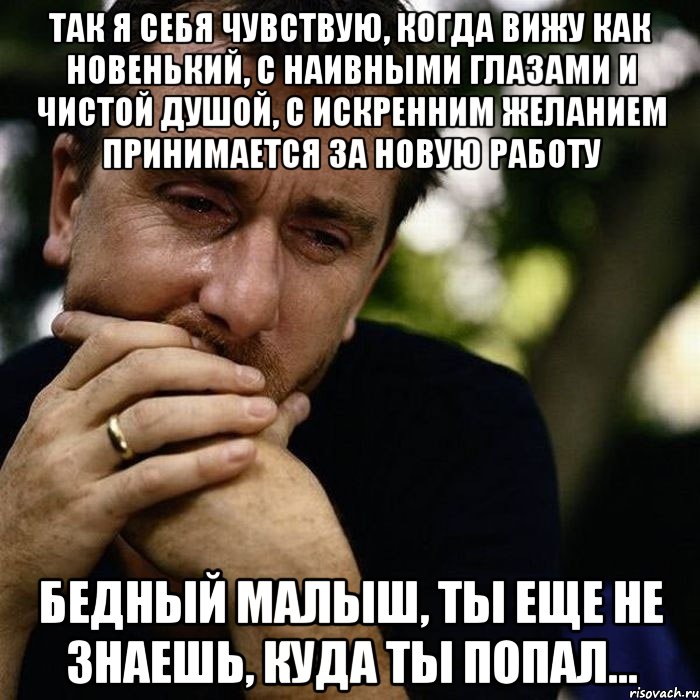 так я себя чувствую, когда вижу как новенький, с наивными глазами и чистой душой, с искренним желанием принимается за новую работу бедный малыш, ты еще не знаешь, куда ты попал..., Мем Тим рот плачет