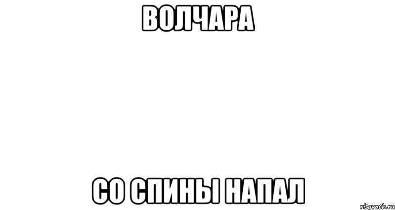 волчара со спины напал, Мем Пустой лист