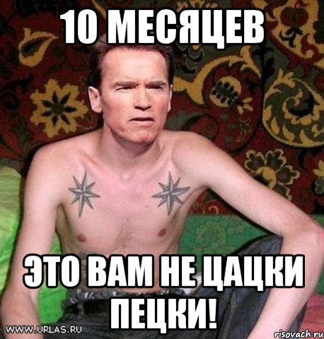 10 месяцев это вам не цацки пецки!