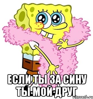  если ты за сину ты мой друг, Мем Спанч боб