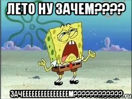 лето ну зачем??? зачееееееееееееееем???, Мем Спанч Боб плачет