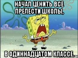 начал ценить все прелести школы, в одиннадцатом классе., Мем Спанч Боб плачет