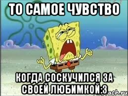 то самое чувство когда соскучился за своей любимкой:3, Мем Спанч Боб плачет